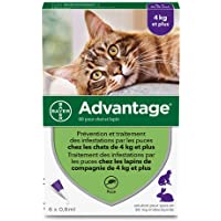 Los mejores  - ADVANTAGE 80 - 6 pipettes antiparasitaires - Pour chat et lapin de 4kg et plus